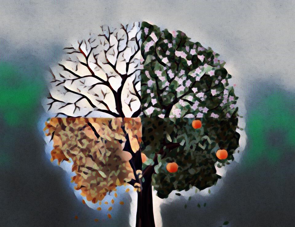 Celoroční aranžmá