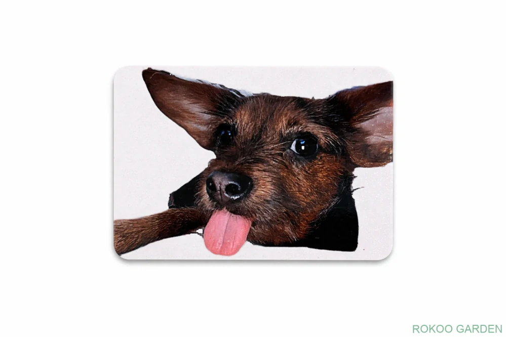 Magnetka- Připni si úsměv s Jenny