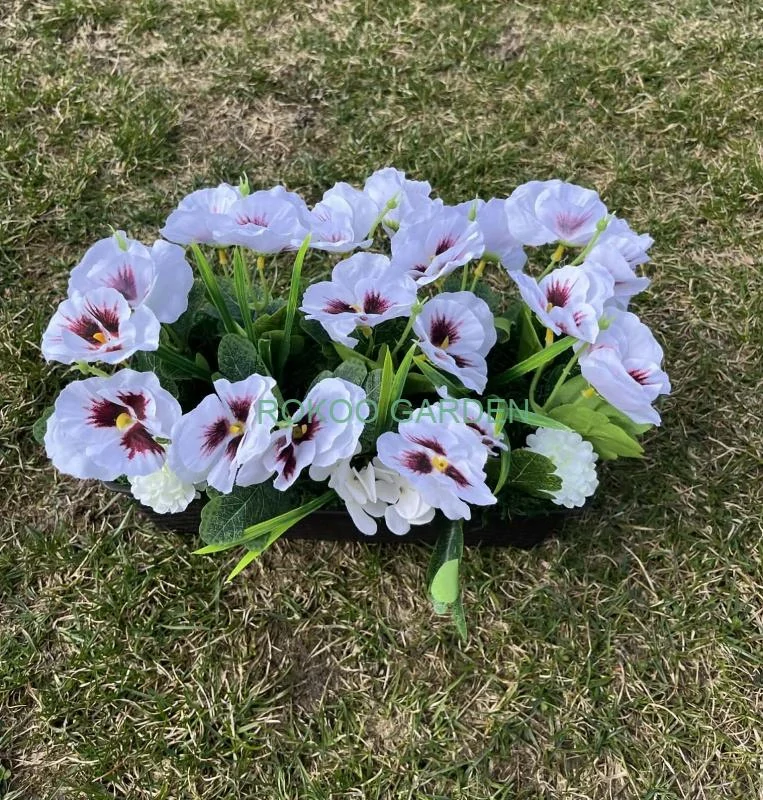 Aranžmá s maceškami v truhlíku – Bílá elegance