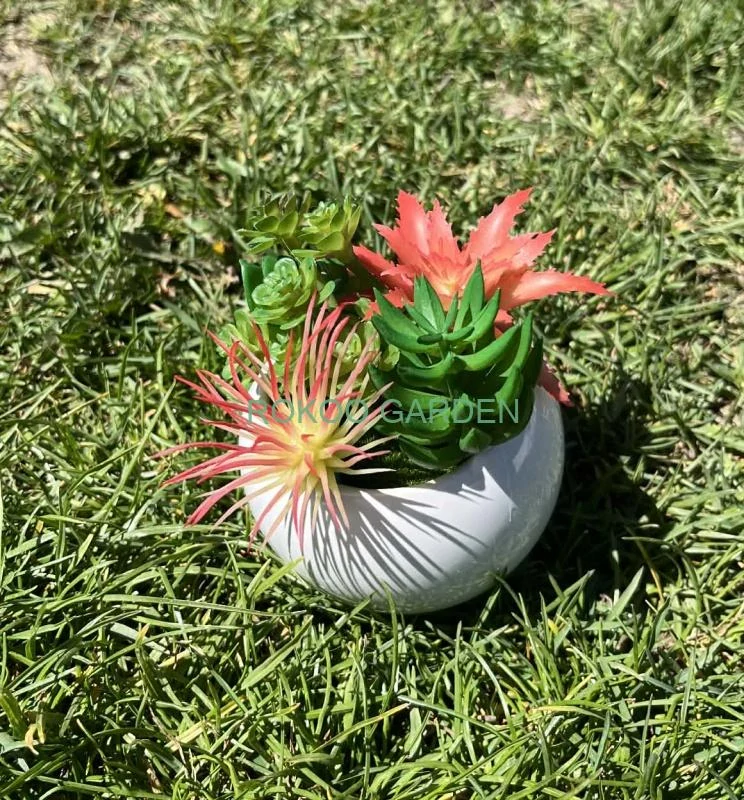 Designový Mini Sukulent (12 cm)