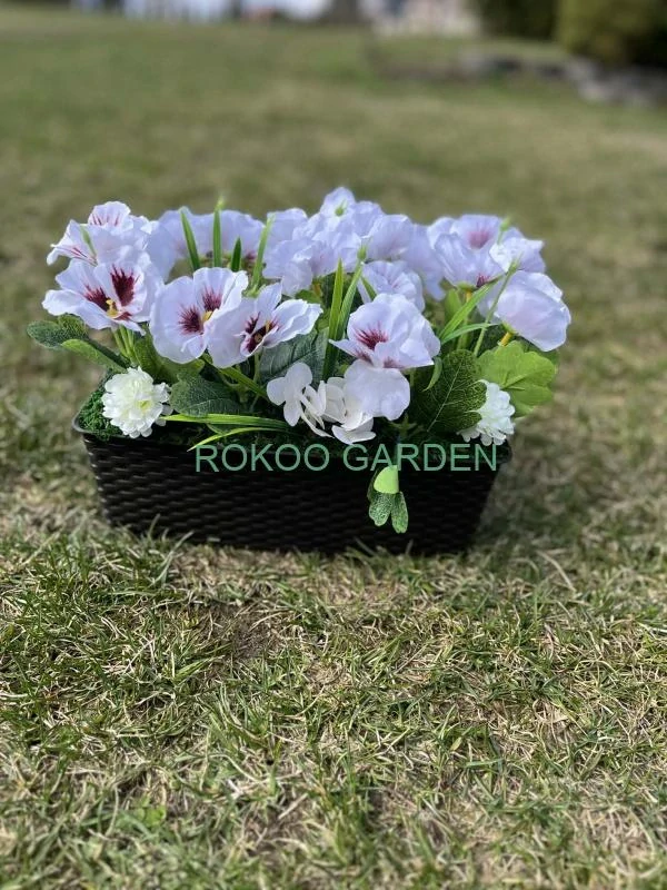 Aranžmá s maceškami v truhlíku – Bílá elegance