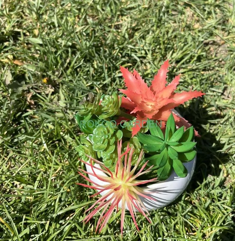 Designový Mini Sukulent (12 cm)