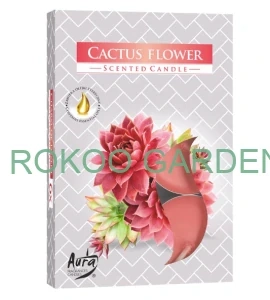 Aura čajové svíčky vonné - Květ kaktusu 6ks