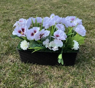 Aranžmá s maceškami v truhlíku – Bílá elegance