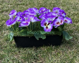 Aranžmá s maceškami v truhlíku – Fialová elegance