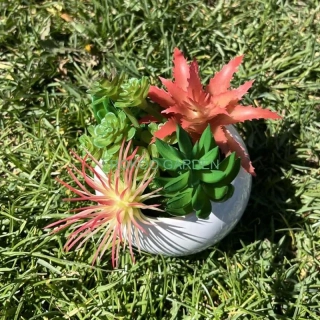 Designový Mini Sukulent (12 cm)